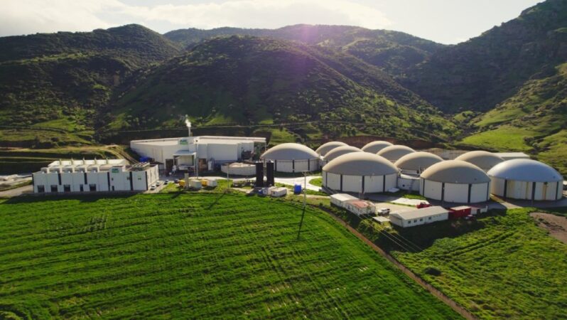 ARF Bio Halka Arz Sonuçları: 916,5 Milyon TL Büyüklüğe Ulaşıldı