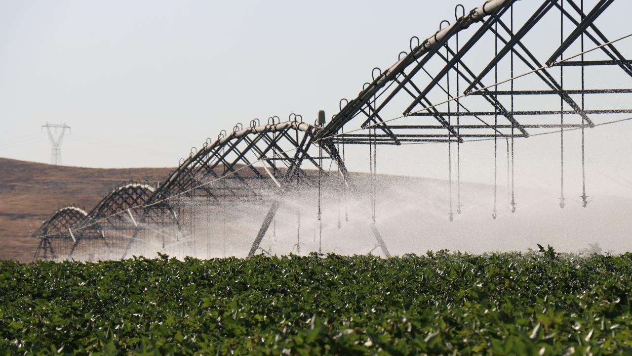 DAP Bölge Kalkınma İdaresi 12 Yılda 2.086 Proje Destekledi