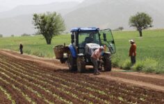 Çiftçilere Sağlanacak Desteklerin Usul ve Esasları Yeniden Belirlendi