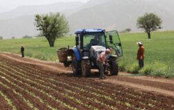 Çiftçilere Sağlanacak Desteklerin Usul ve Esasları Yeniden Belirlendi