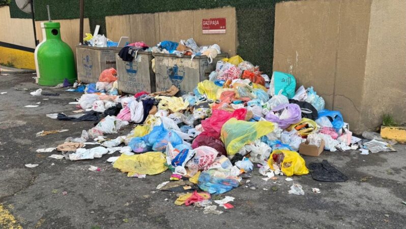 Yeni Yılda Çevreyi Kirletenlere Uygulanacak Cezalar Açıklandı