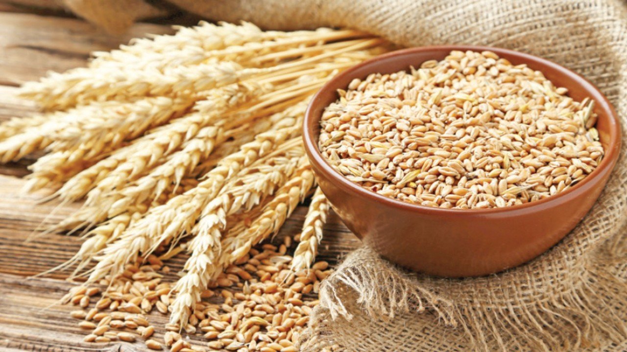 Tarımda 2025 Yılı: 14 Temel Ürün Zarar Etti