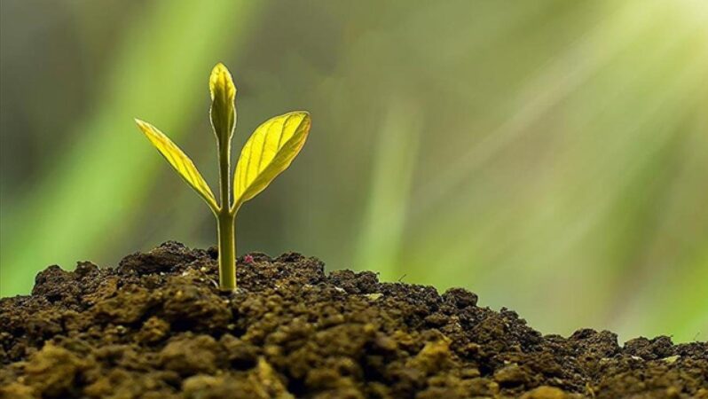 Çevre Desteğiyle Yerel Yönetimlere 96 Milyar Lira Kaynak Aktarıldı