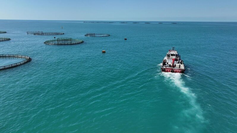 Türkiye’de 2025’te Balık Üretiminde Tarihi Rekor Kırıldı