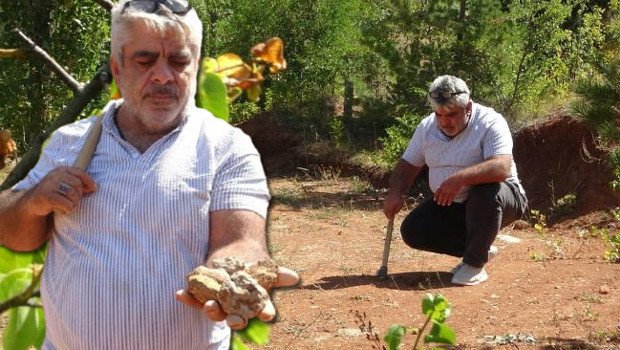 Bayburt’tan çıkan kehribar, altınla yarışıyor