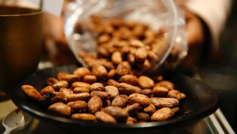 Kakao Fiyatları Tarihinin En Hızlı Düşüşünü Gerçekleştirdi