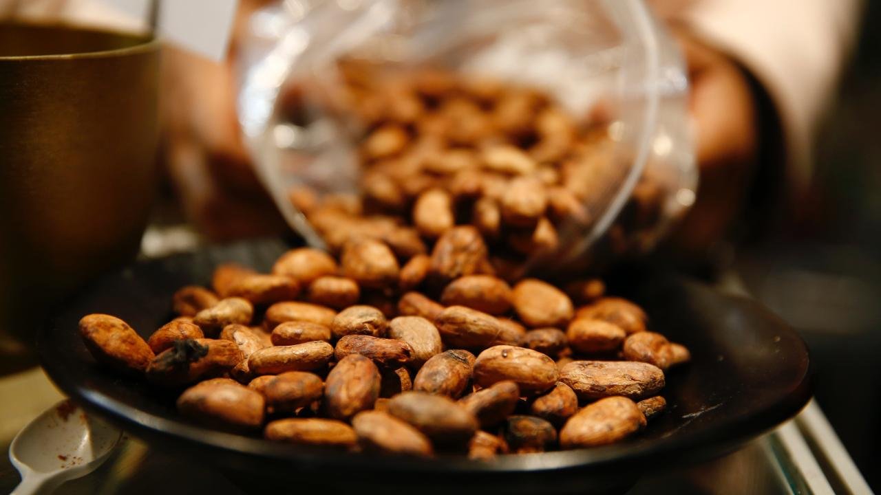 Kakao Fiyatları Tarihinin En Hızlı Düşüşünü Gerçekleştirdi