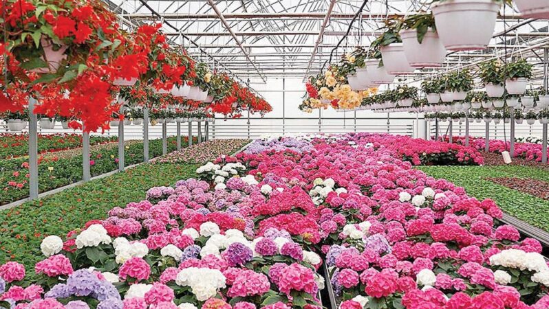 Türkiye’de 18 Sektör İhracatını Artırarak Ekonomik Büyümeye Katkı Sağl