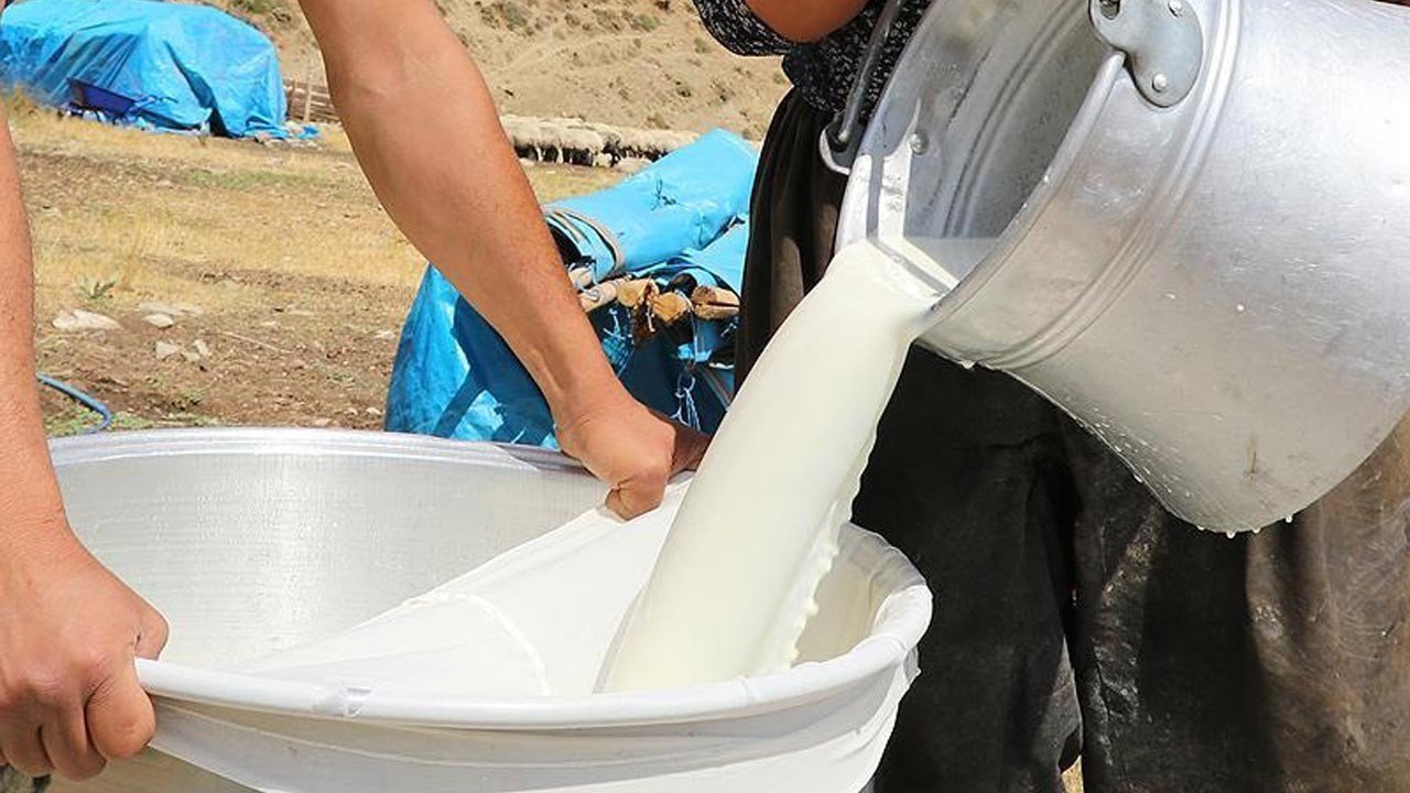 Ulusal Süt Konseyi çiğ süt tavsiye fiyatını belirledi