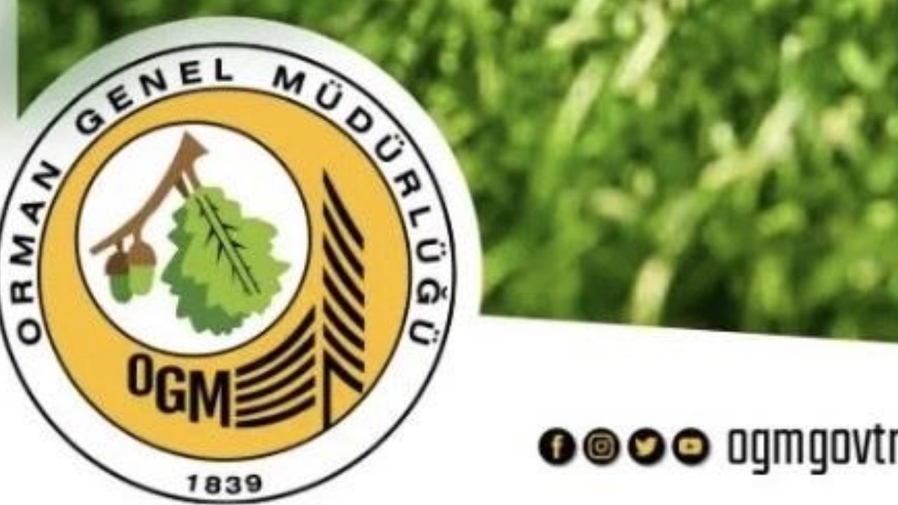 OGM 496 Sözleşmeli Personel Alım Sonuçları Ne Zaman Açıklanacak?