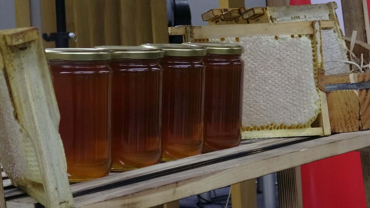 Dünyanın En Pahalı Balı: Ilgaz Balı Guinness Rekorlar Kitabı’nda