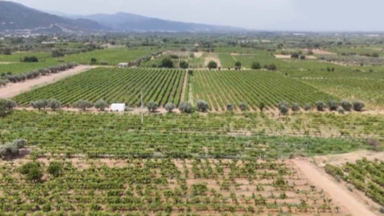 Manisa’ya Kelebek Barajı Sulaması ile Ekonomik Katkı