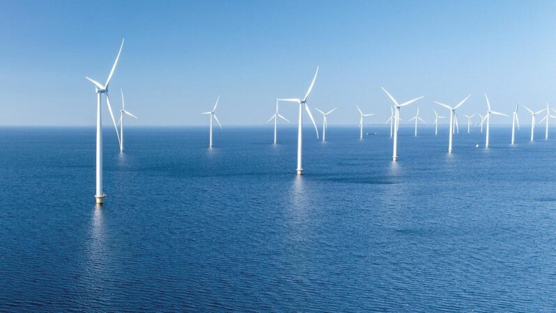 TÜREB, Rüzgâr Enerjisinde Planlı Büyüme Vurgusu Yaptı