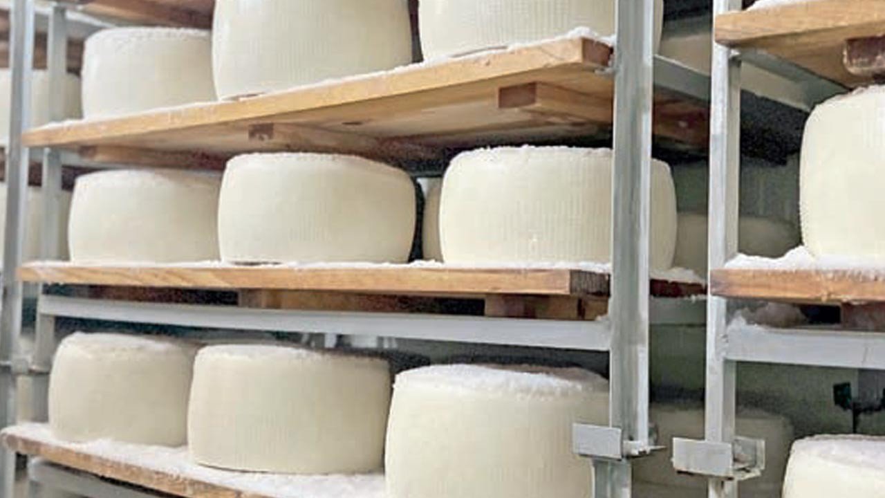 İkinci El Çadırdan 10 Milyon Dolarlık İhracat Başarısı