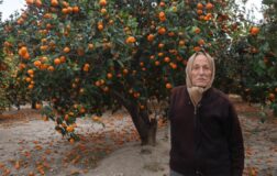 Çiftçi ‘ücretsiz’ diyerek vatandaşı çağırdı: Yüzüne bakan olmadı