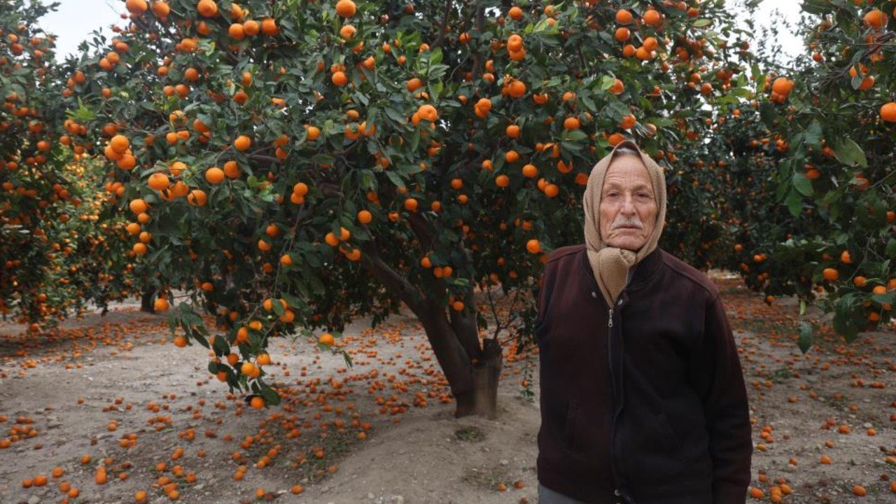 Çiftçi ‘ücretsiz’ diyerek vatandaşı çağırdı: Yüzüne bakan olmadı