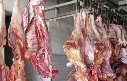 Başkentte 11 bin 400 kilogram sahte et ve gıda ele geçirildi