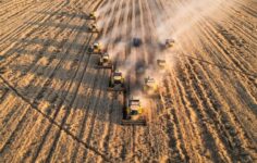 Tarım ÜFE Aralık 2025’te arttı