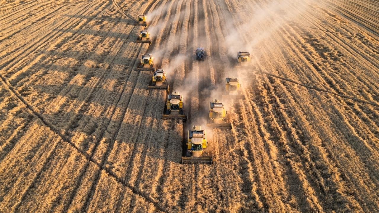 Tarım ÜFE Aralık 2025’te arttı