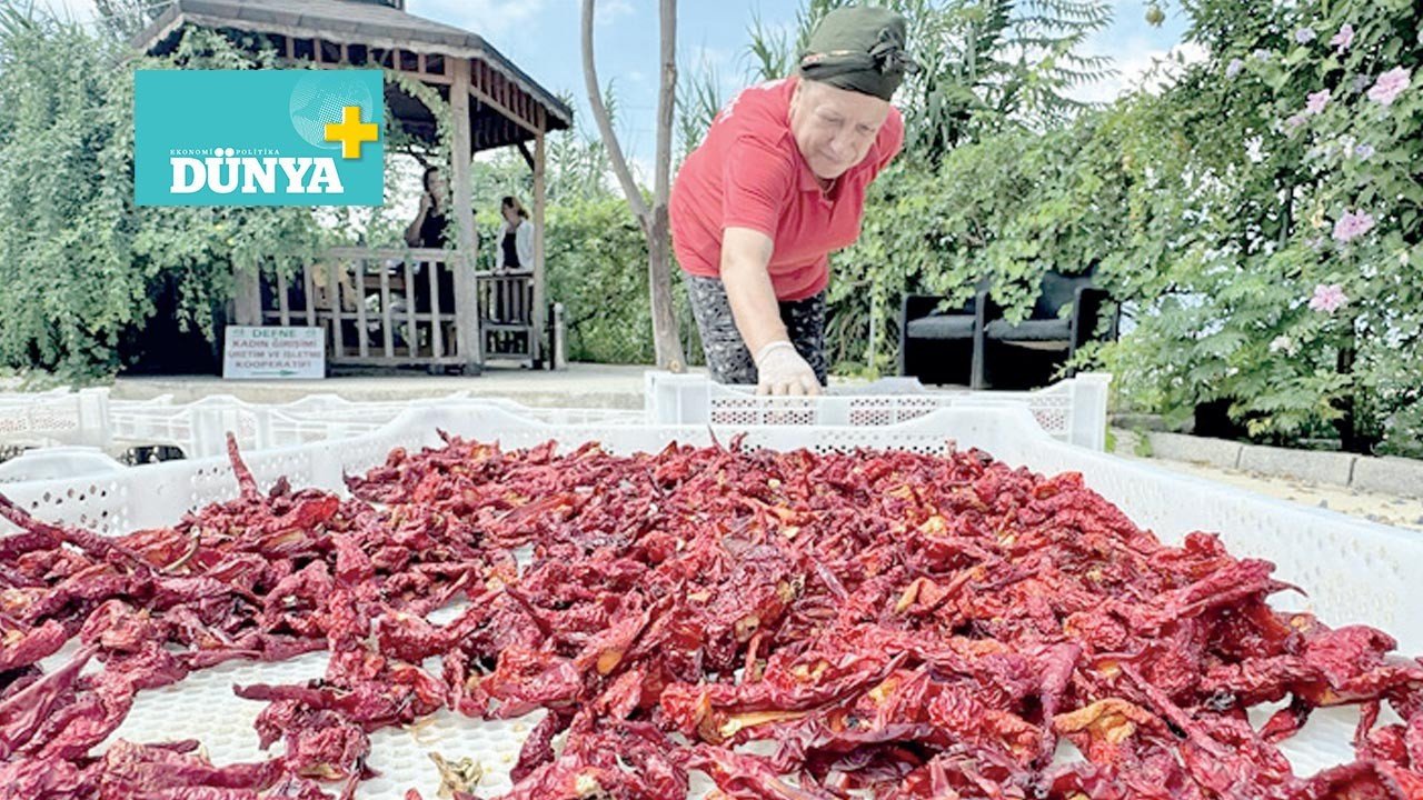 Misafir gibi değil, evlat gibi karşılar: Hatay