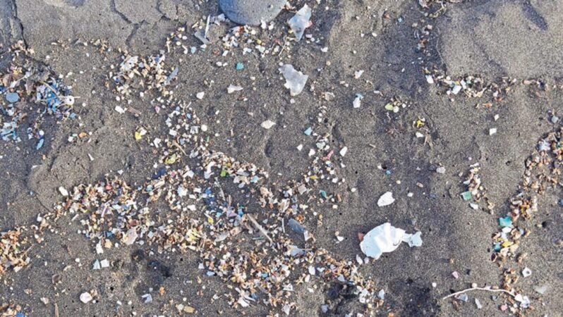 Tarladan denize mikroplastik akıyor