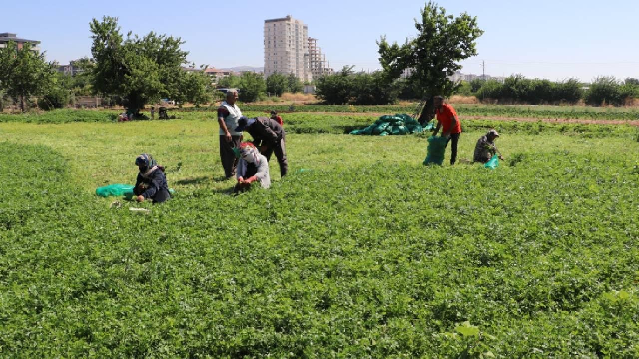 IPARDIII programında 214 projeye 1,7 milyar lira hibe