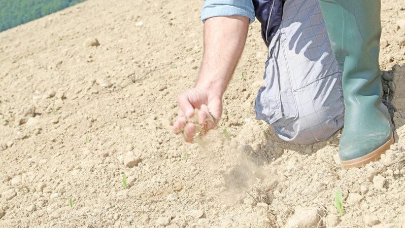 AB’de tarım topraklarının yüzde 70’i bozuldu