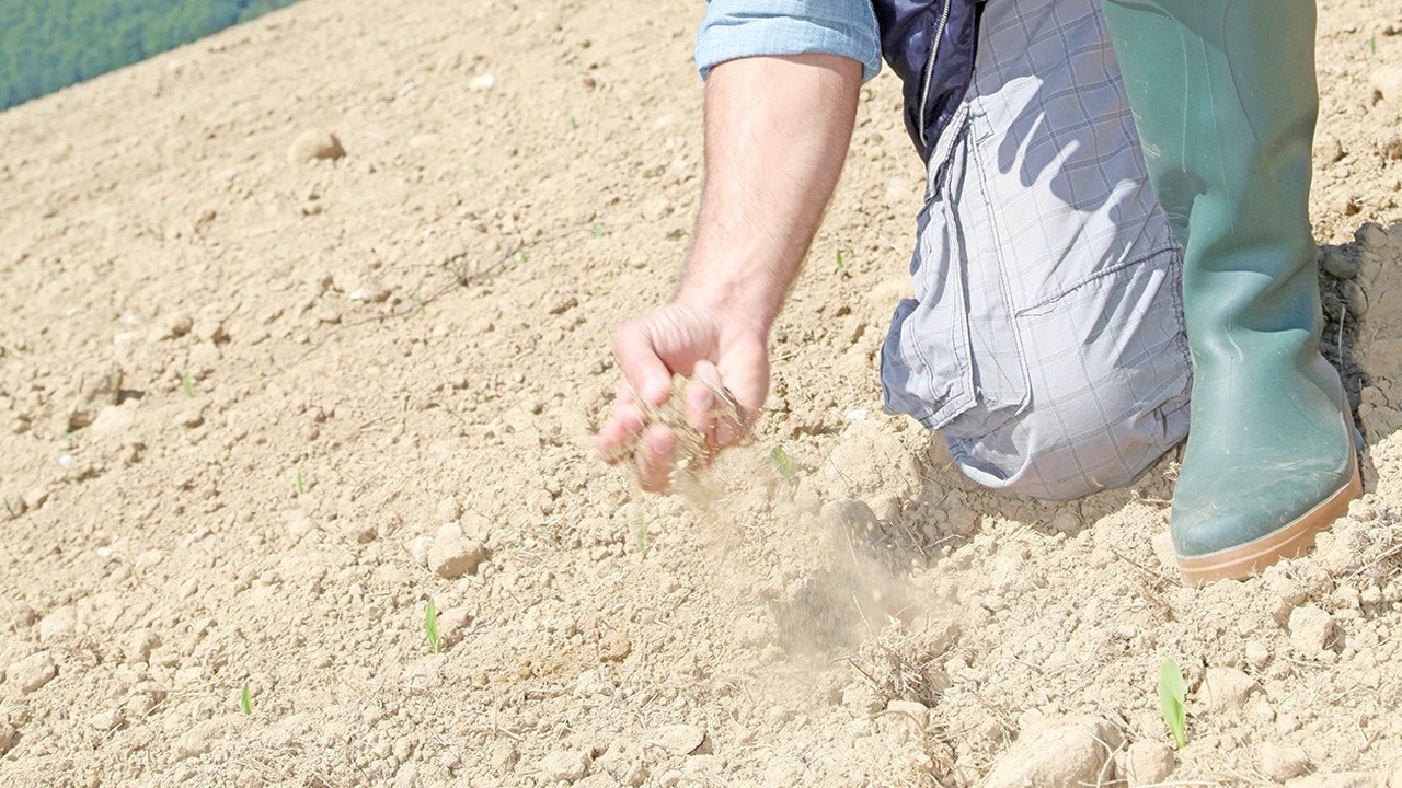 AB’de tarım topraklarının yüzde 70’i bozuldu