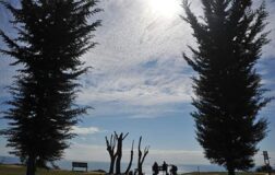 İlk cemre ne zaman, nereye düşecek? Cemre tarihleri…