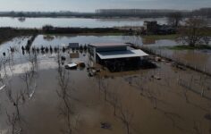 Meriç Nehri taştı: Hayvanlar tahliye edildi, tarım arazileri ve ç
