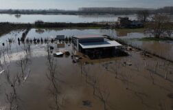 Meriç Nehri taştı: Hayvanlar tahliye edildi, tarım arazileri ve ç