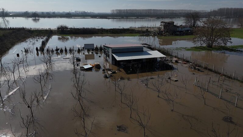 Meriç Nehri taştı: Hayvanlar tahliye edildi, tarım arazileri ve ç