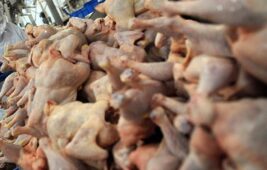 Van’da halk sağlığını tehdit eden 200 belgesiz tavuk ele geçirild