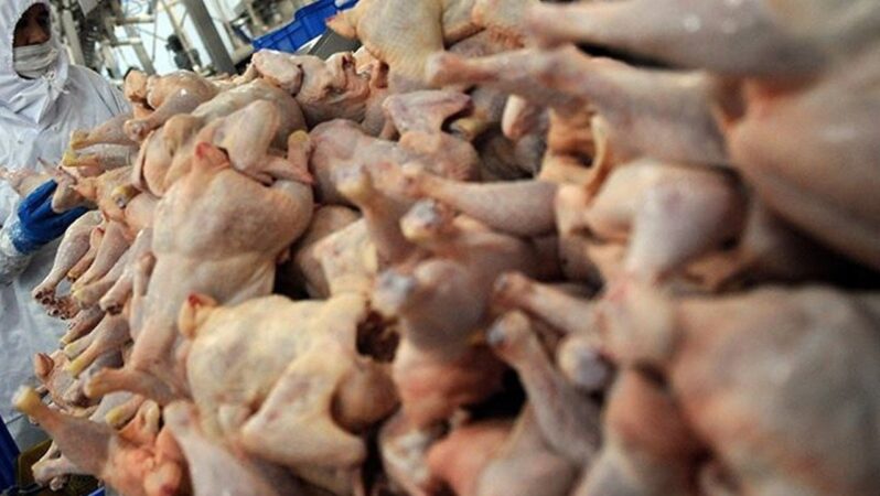 Van’da halk sağlığını tehdit eden 200 belgesiz tavuk ele geçirild
