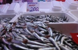 Hamsi yurda döndü, tezgahlardaki fiyatın ateşi düştü