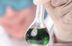 ‘Biyoponik’le yosun ithalatını düşürecek