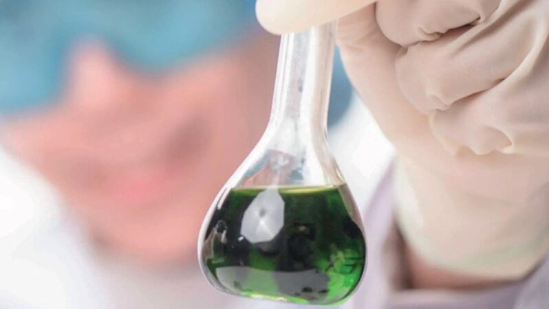 ‘Biyoponik’le yosun ithalatını düşürecek