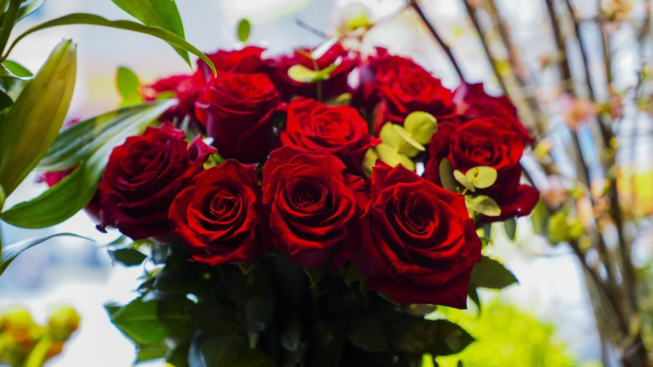 Çiçekçilerde 14 Şubat mesaisi