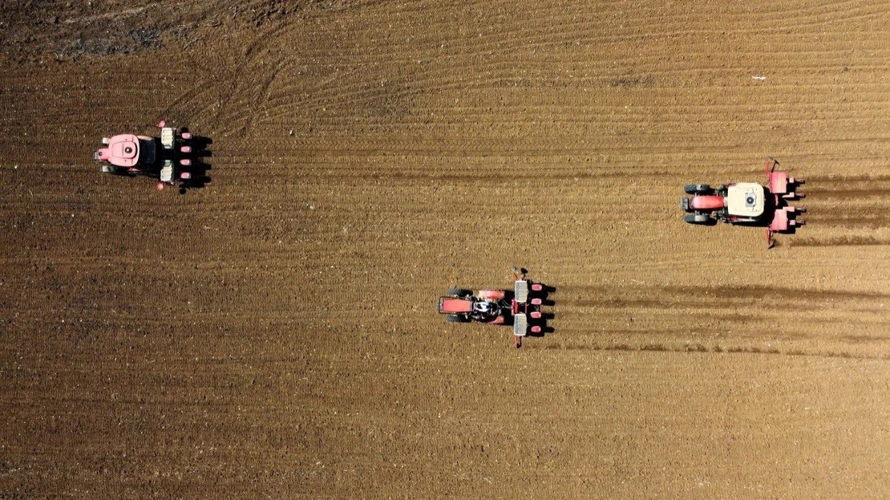 Güney Afrika’dan tarım ihracatında rekor: 15,1 milyar dolar