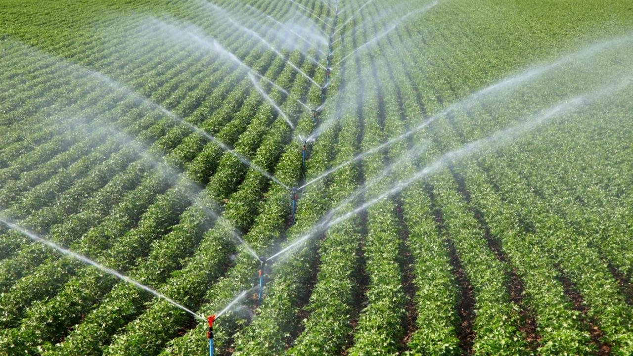 Tarımsal destek bütçesi geçen yıl 158,55 milyar liraya yükseldi