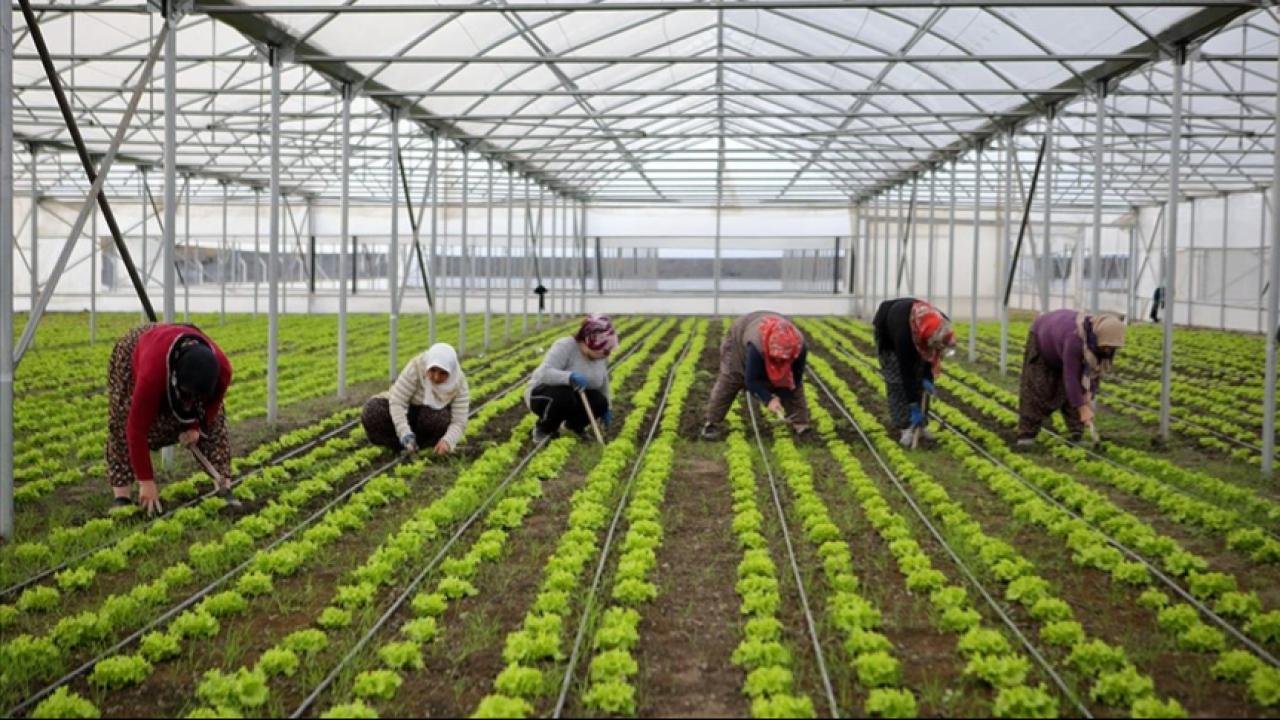 Bölgesel kalkınma için 15,6 milyar liralık yatırım yapılacak