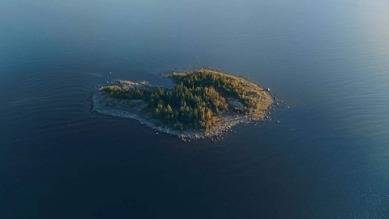 İsveç özel adaları bedava dağıtacak: Sadece milyarderler başvuram