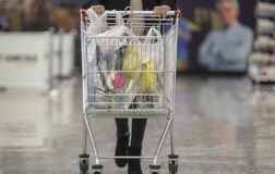 Tek tıkla market fiyatı dönemi: 50 bin ürün karşılaştırılıyor