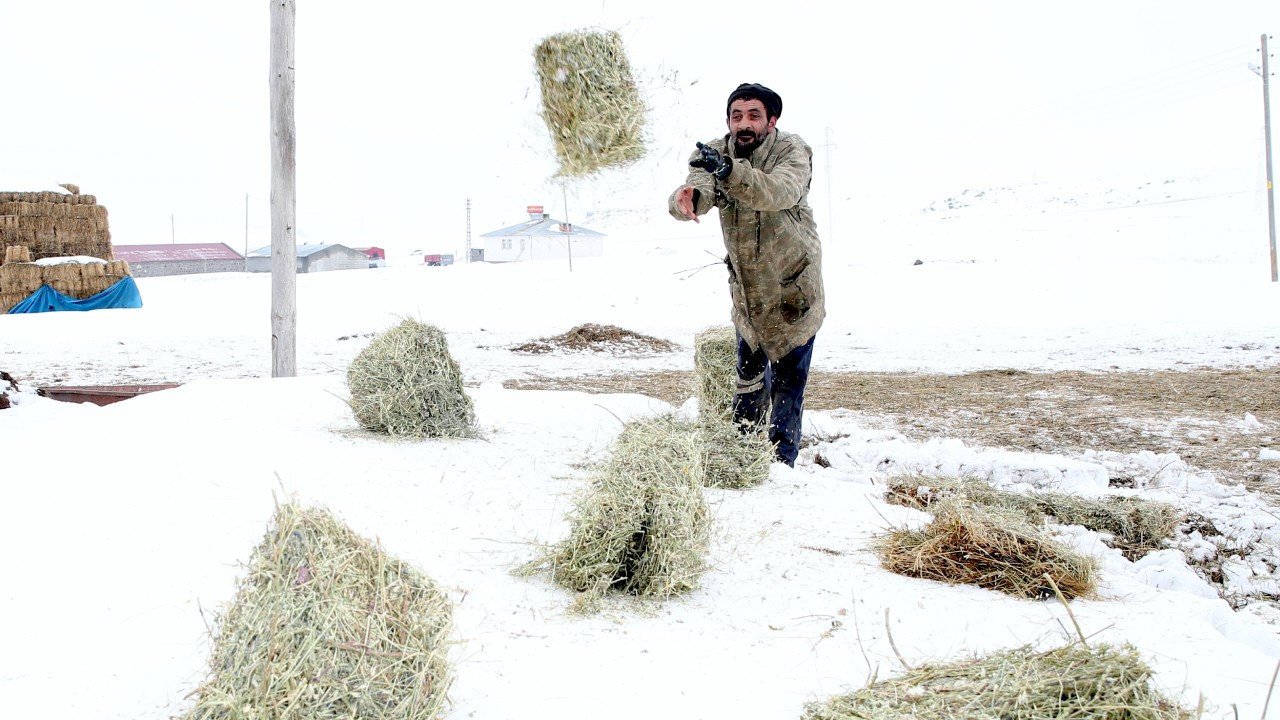 Şehirde pastaneciydi, köyüne döndü servetini büyüttü: Kendi işini