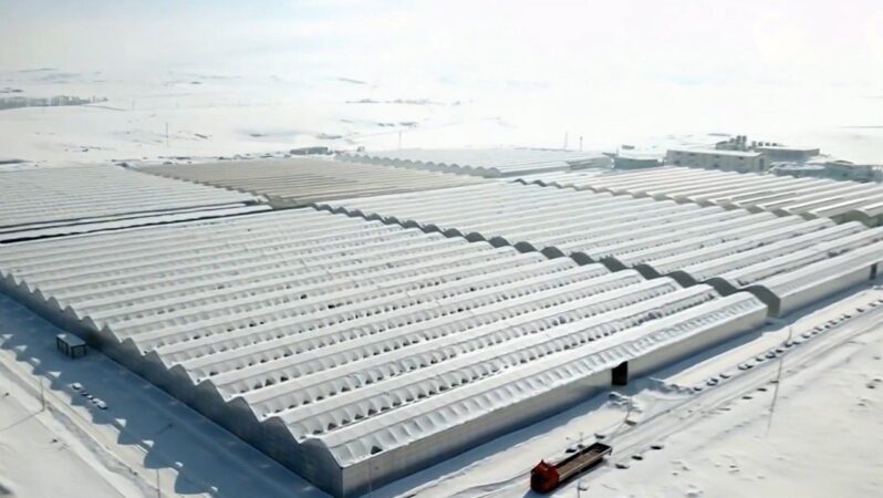 Jeotermal yatırımla tarımda yeni dönem: Ağrı Diyadin’de sera OTB