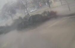 Adana’da fırtına dev ağaçları kökünden söktü: O anlar kamerada