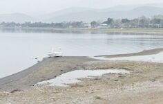 İznik Gölü’nde alarm zilleri