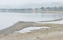 İznik Gölü’nde alarm zilleri