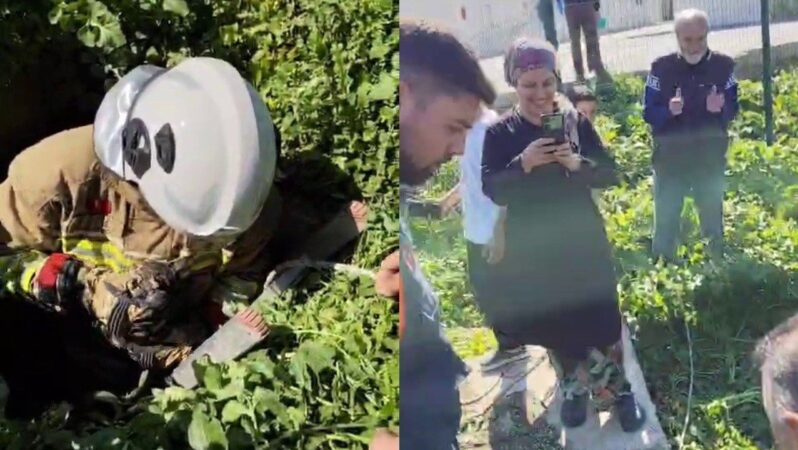Hatay’da atık su kuyusuna düşen kedi kurtarıldı: İtfaiyeciye alkı