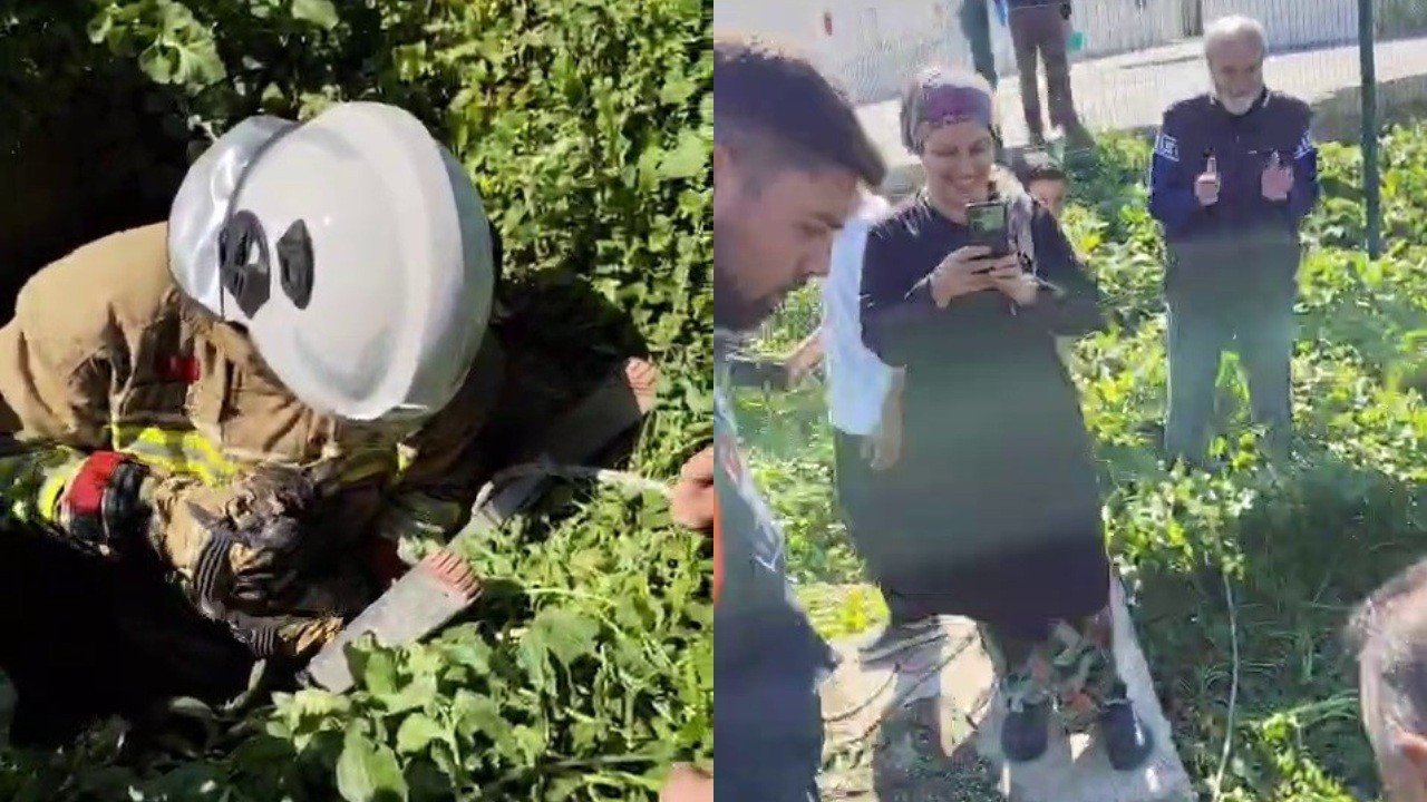 Hatay’da atık su kuyusuna düşen kedi kurtarıldı: İtfaiyeciye alkı